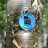 blue trail marker