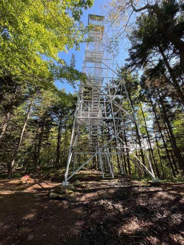buck mountain fire tower