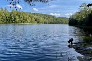 The fishing looks good at Bass Lake