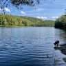 The fishing looks good at Bass Lake