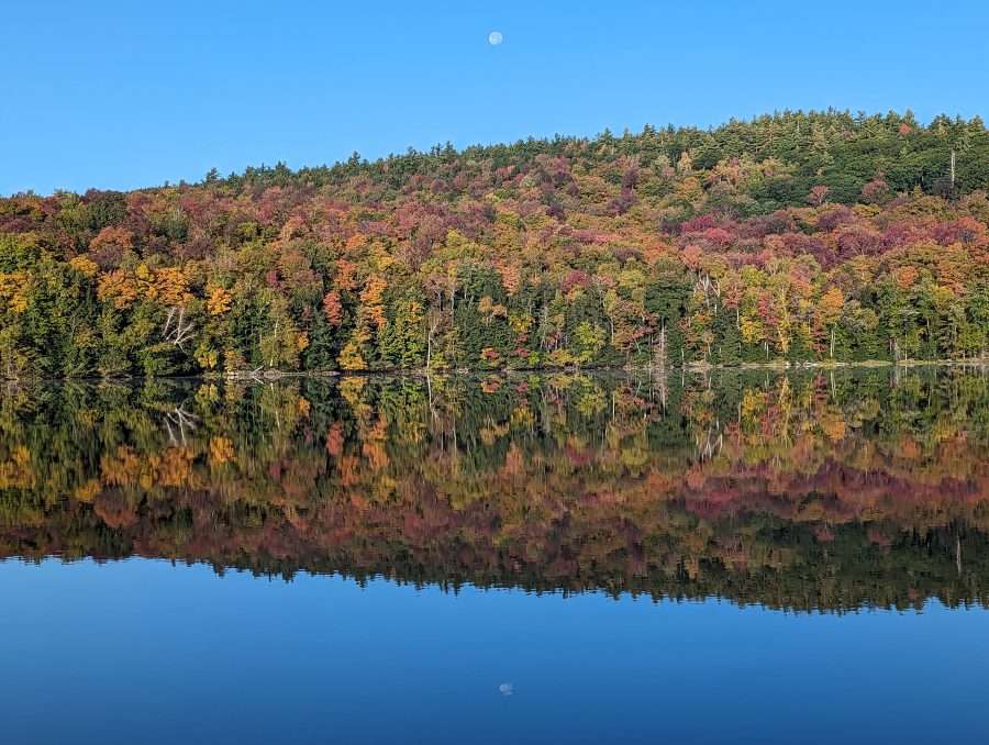 fall leaves reflected in water