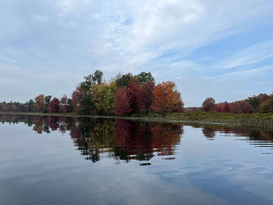 fall color on a lake