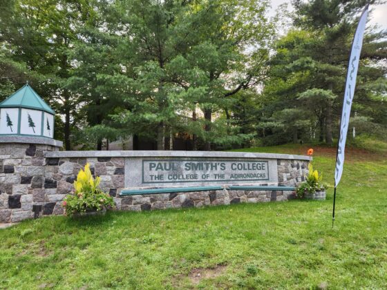 Paul Smith’s in talks over conservation easement for campus forest land
