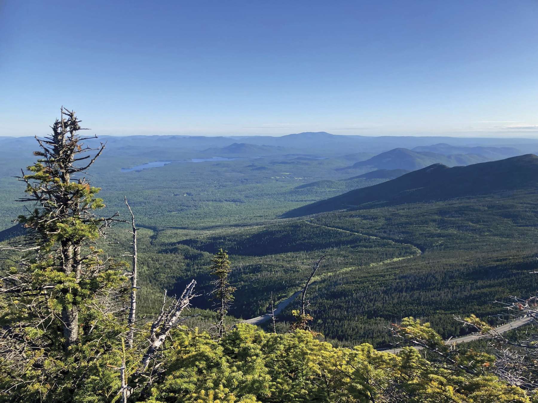 Jeremy Kirchman's view as he surveys birds atop Whiteface Mountain in 2022. Photo courtesy of Kirchman