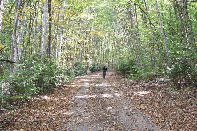 Biking along the Floodwood Reservation Road can include exhilarating downhill runs with potential “sleepers” beneath the leaves. Photo by Tom French