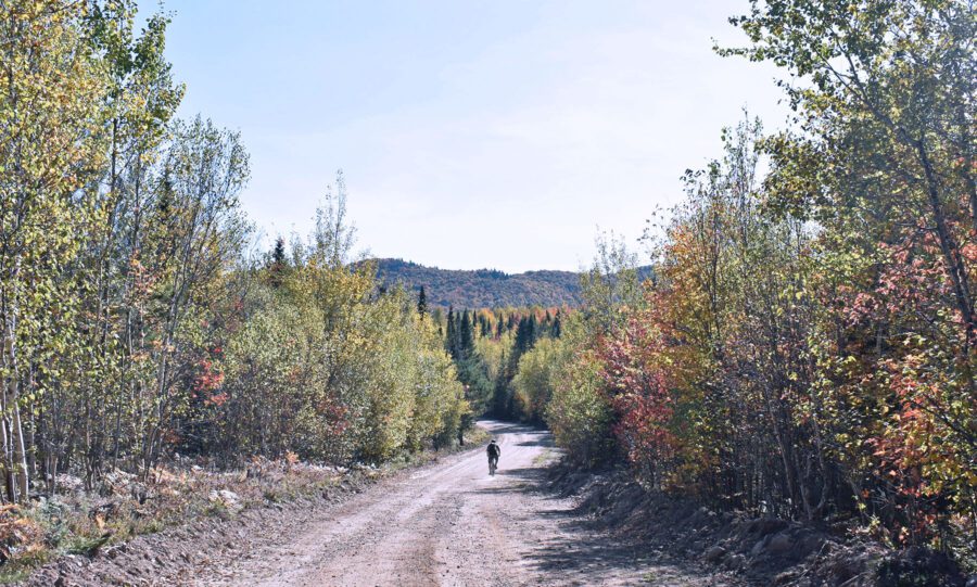 biking on a dirt road with a mountain in the distance