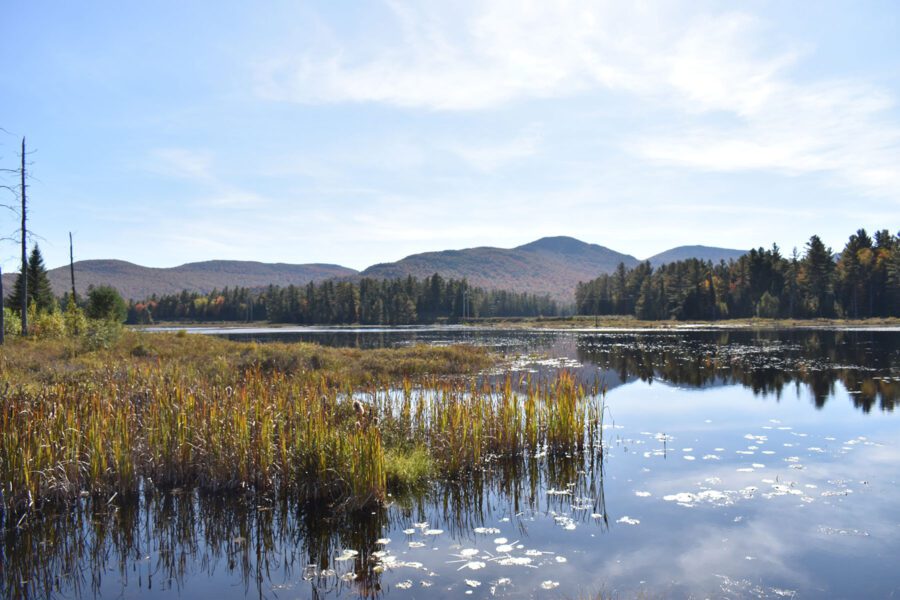 sunny day with a pond in the foreground and mountain in the background