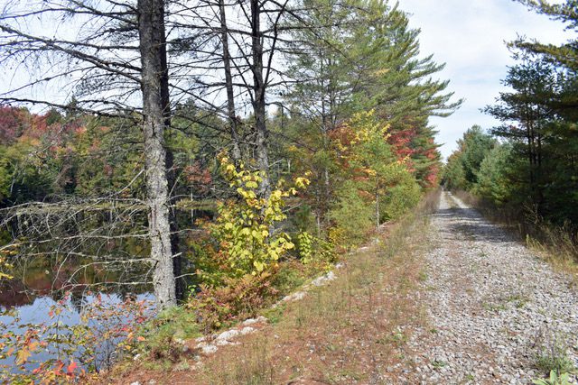 A bay of Floodwood Pond (left) cut off from the main body by a causeway along the Adirondack Rail Trail. Photo by Tom French