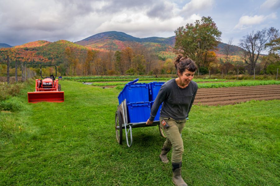 A farmer pulls a wheelbarrow of vegetables.