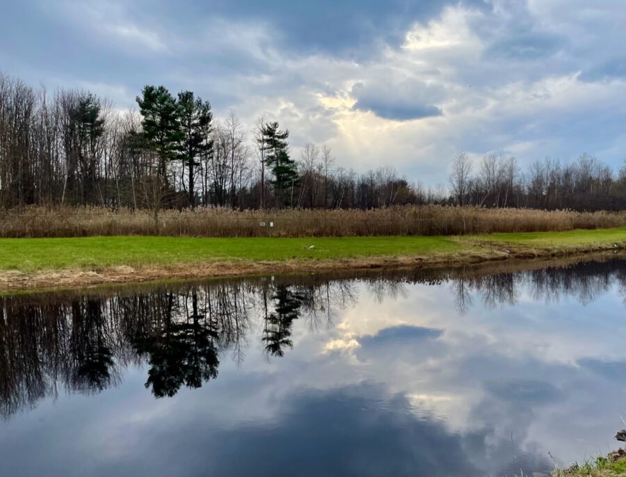 canal along the saranac river trail