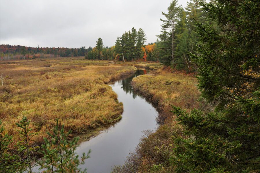 Looking downstream from High Rock