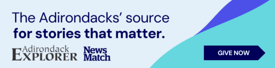 newsmatch ad