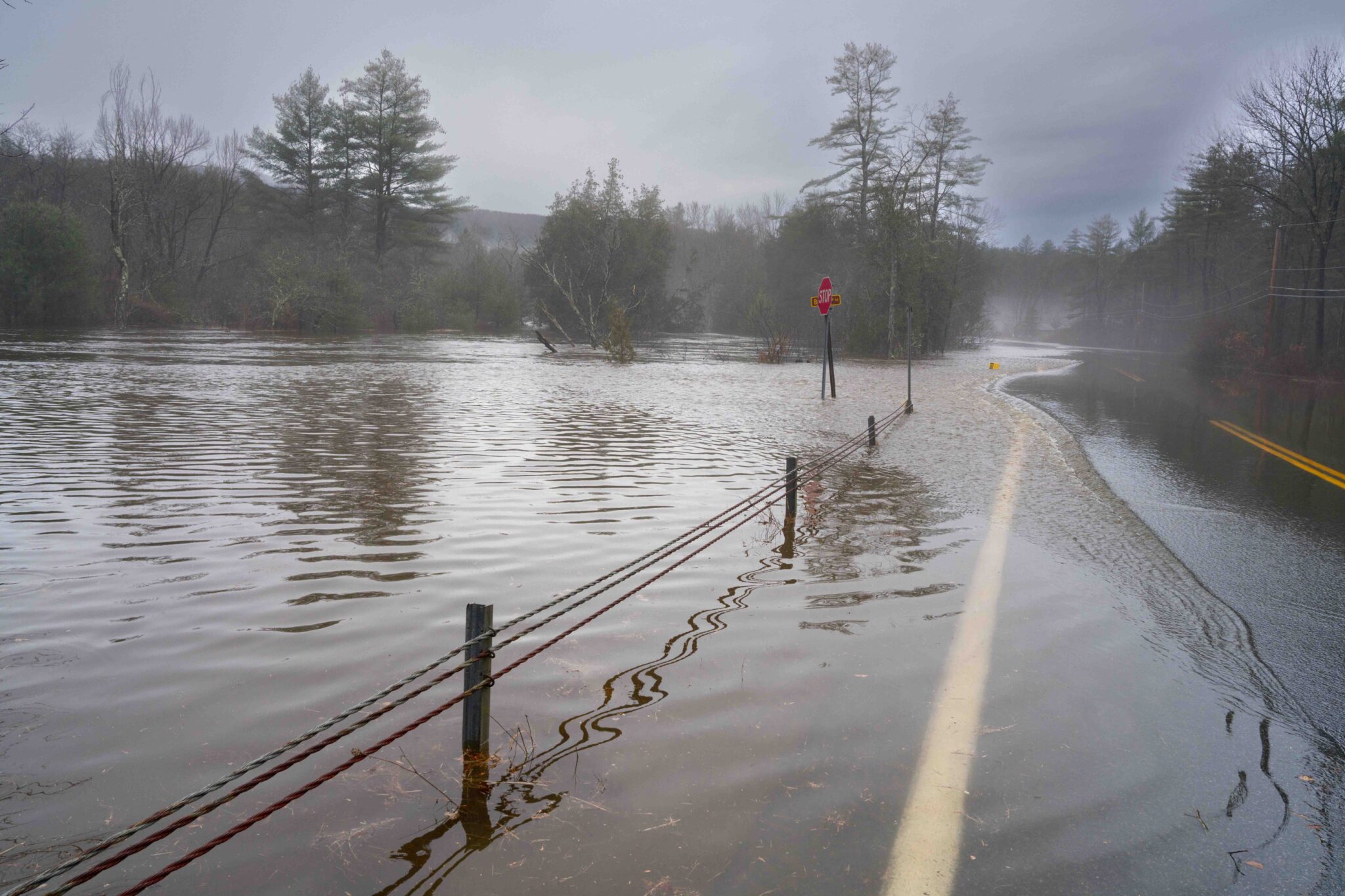 flooding alongside a road