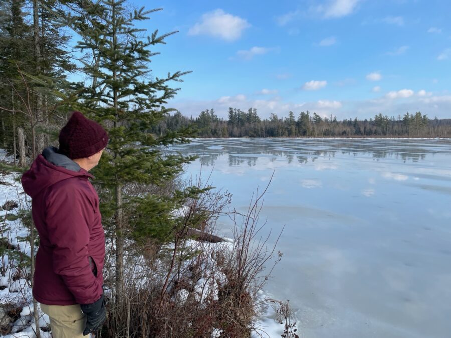 Ice forming on the east end of Mud Pond.
