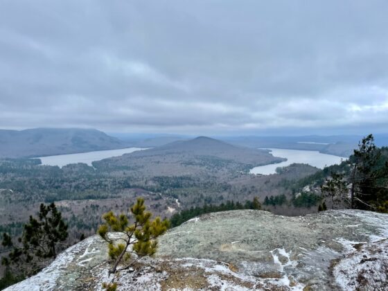 Silver bells on Silver Lake Mountain