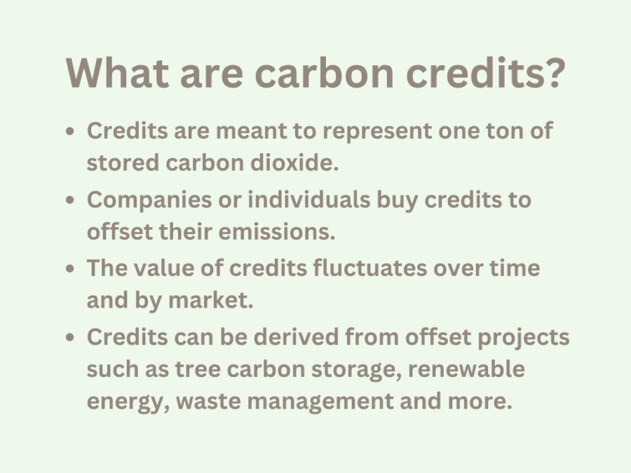 A light green text box explaining what carbon credits are. Credits are meant to represent one ton of stored carbon dioxide.