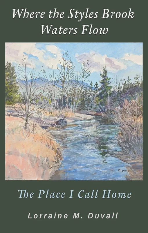 Where the Styles Brook Waters Flow: The Place I Call Home book cover
