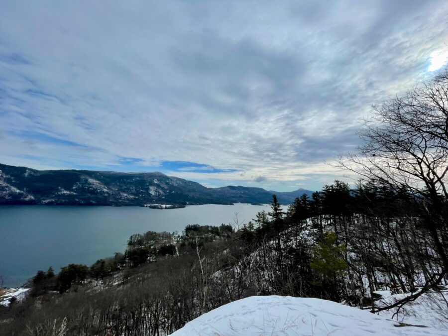 view from terzian woodlot trail