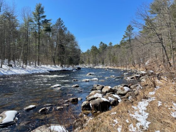 AuSable’s West Branch: A fishing paradise with unmatched scenery