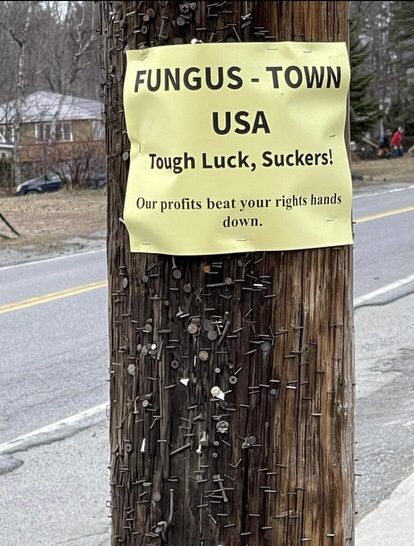 A sign in the town of Moriah that says, "Fungus Town USA, Tough Luck, Suckers! Our profits beat your rights hands down."