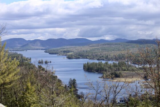 Herbicide treatment coming to Brant Lake