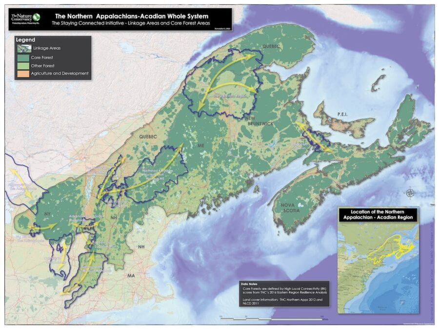 A map showing wildlife corridors that are identified by The Nature Conservancy