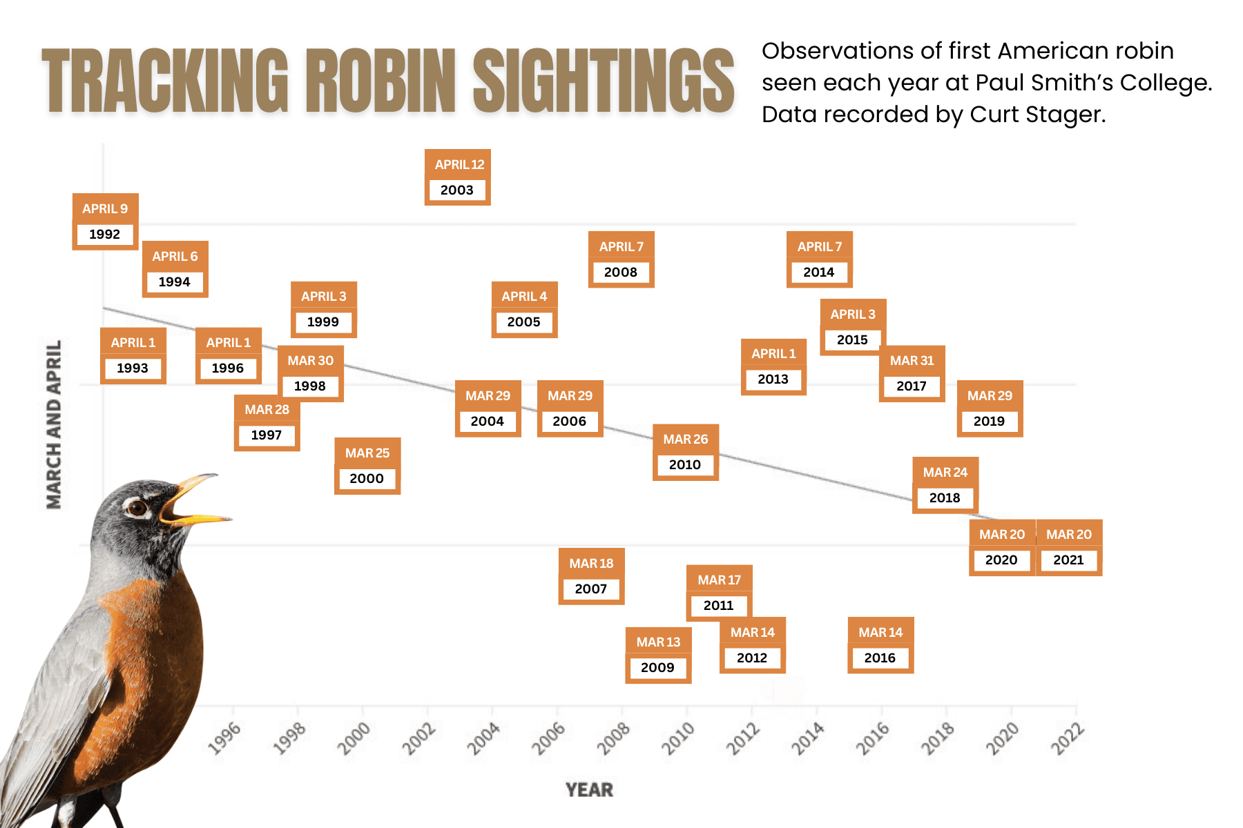 robin graphic