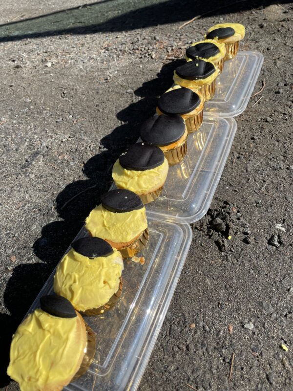 eclipse cupcakes