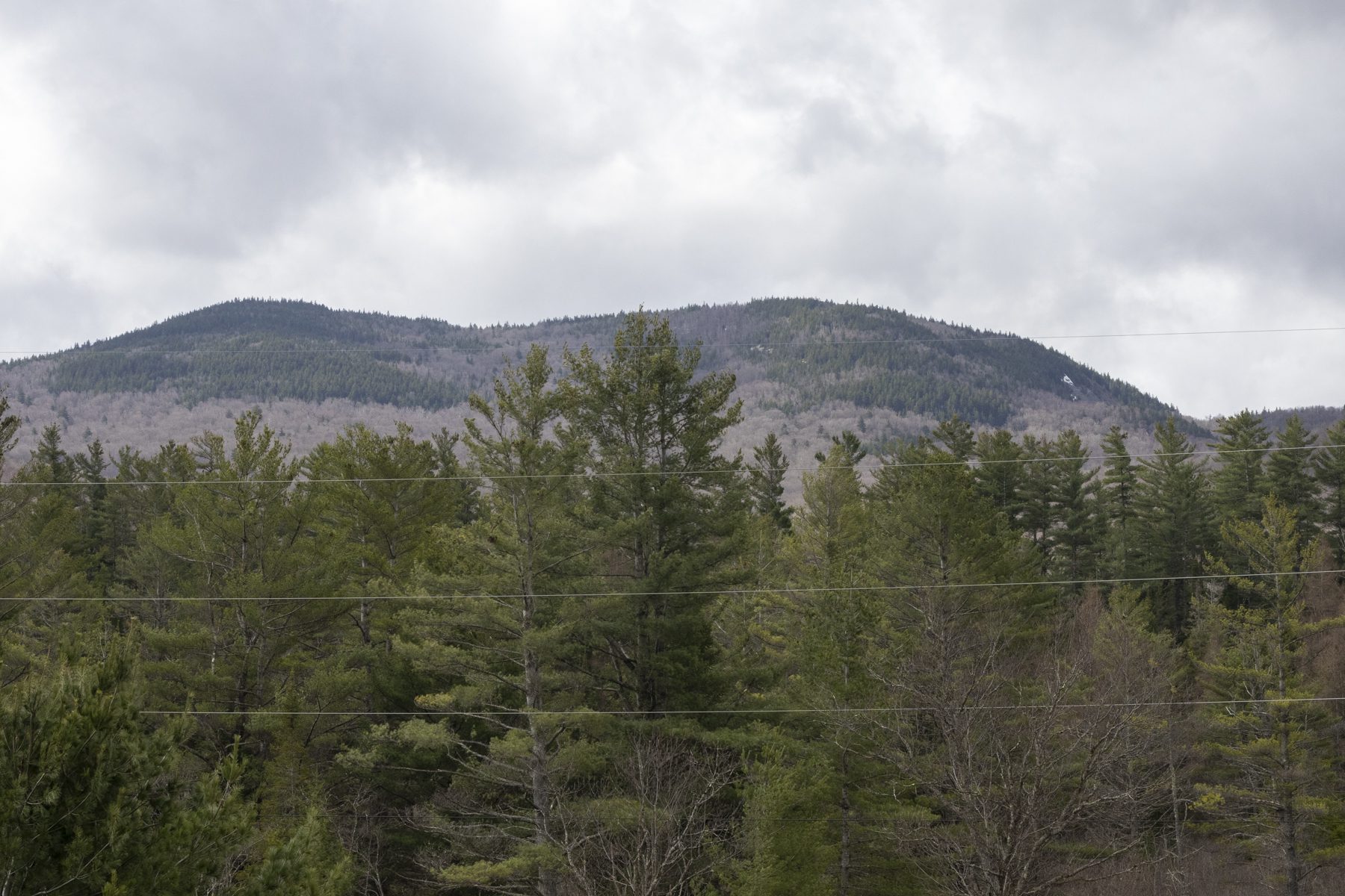 Scarface Mountain Ray Brook in the northern Adirondacks is one of the saranac lake 6ers hikes. Photo by Mike Lynch