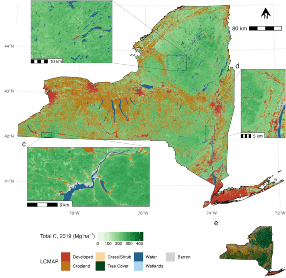 A map shows forest details in New York State.