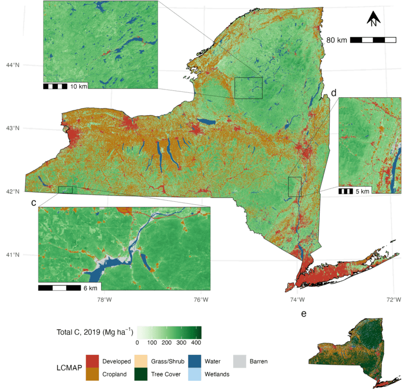 A map shows forest details in New York State.