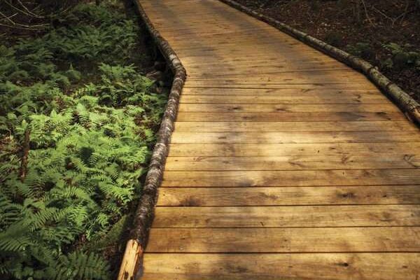 john dillon park accessible trail for people with disabilities