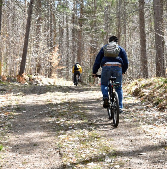 Cathedral Rock: A fire tower you can bike to