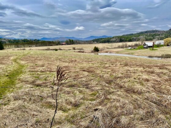 Field at Ted Cornell's Art Farm