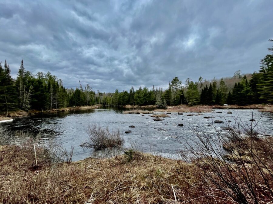 Hewitt Eddy on the south end of the Hewett Eddy Loop trail.
