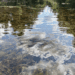 Eurasian watermilfoil in Caroga lakes