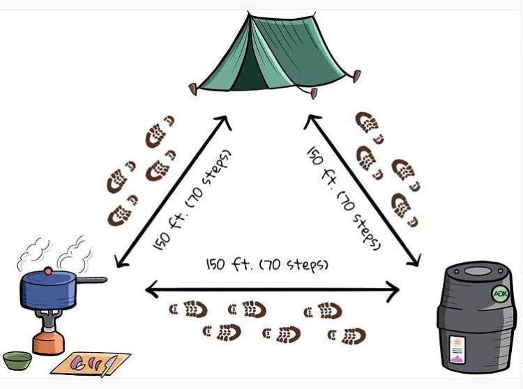 graphic for where to site a bear canister when backpacking in the Adirondacks