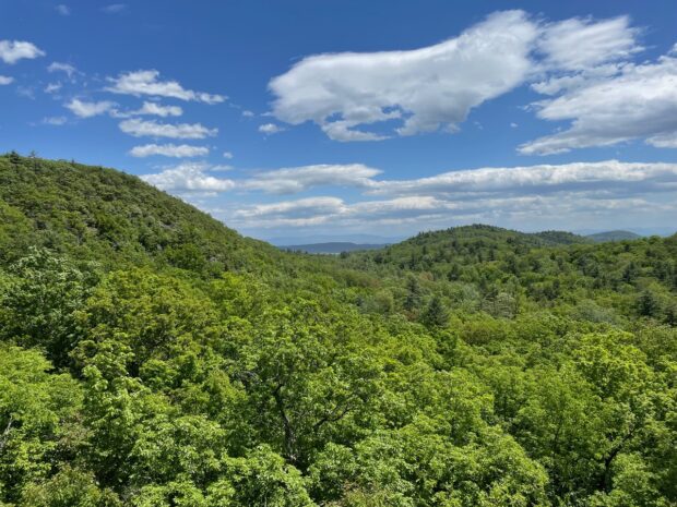 The hills of the Twin Valley Preserve from a lookout on Payne Mountain.