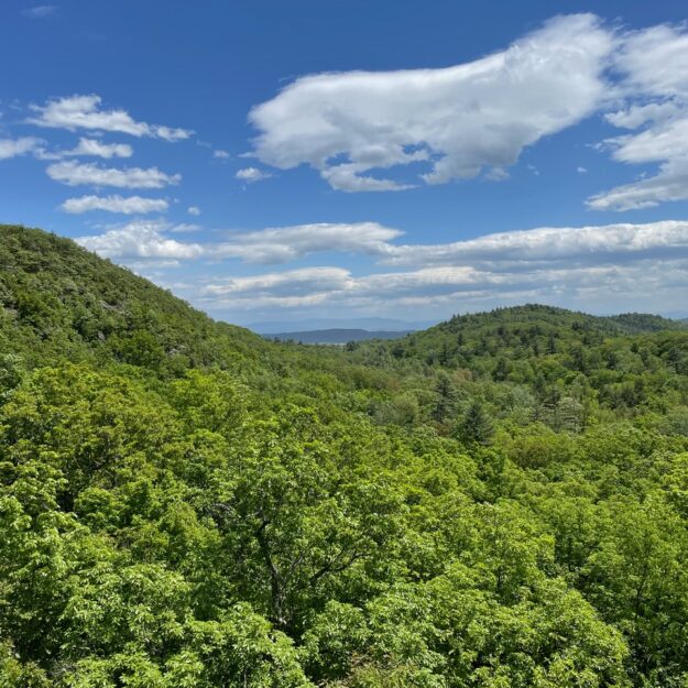 The hills of the Twin Valley Preserve from a lookout on Payne Mountain.