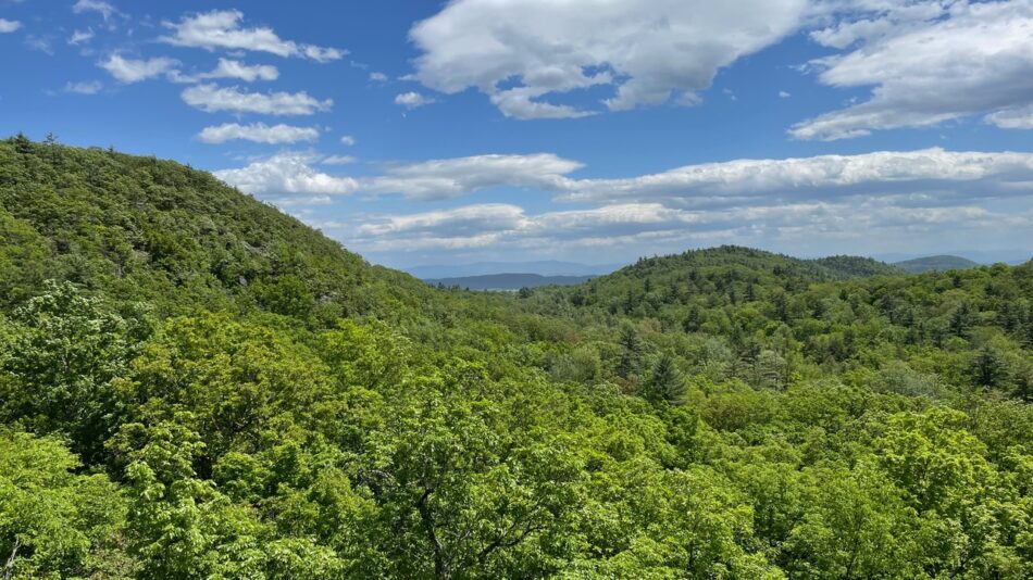 The hills of the Twin Valley Preserve from a lookout on Payne Mountain.