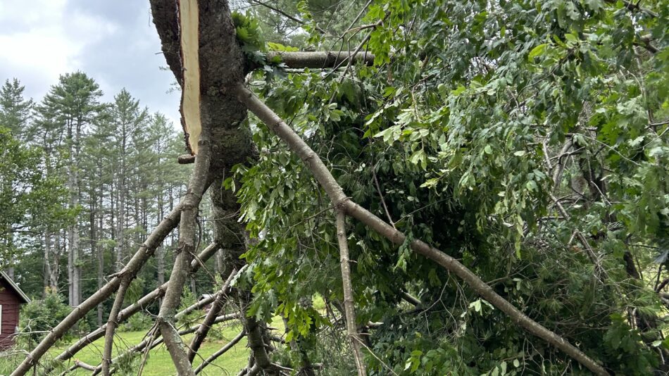 Tornado damage in Pisceo.