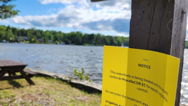 procellacor application in caroga lake