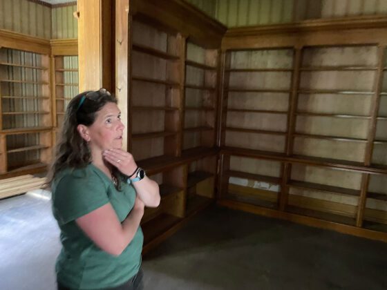 woman standing in front of empty floor to ceiling book shelves