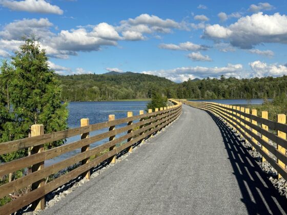 Snowmobiler dies after Adirondack Rail Trail crash