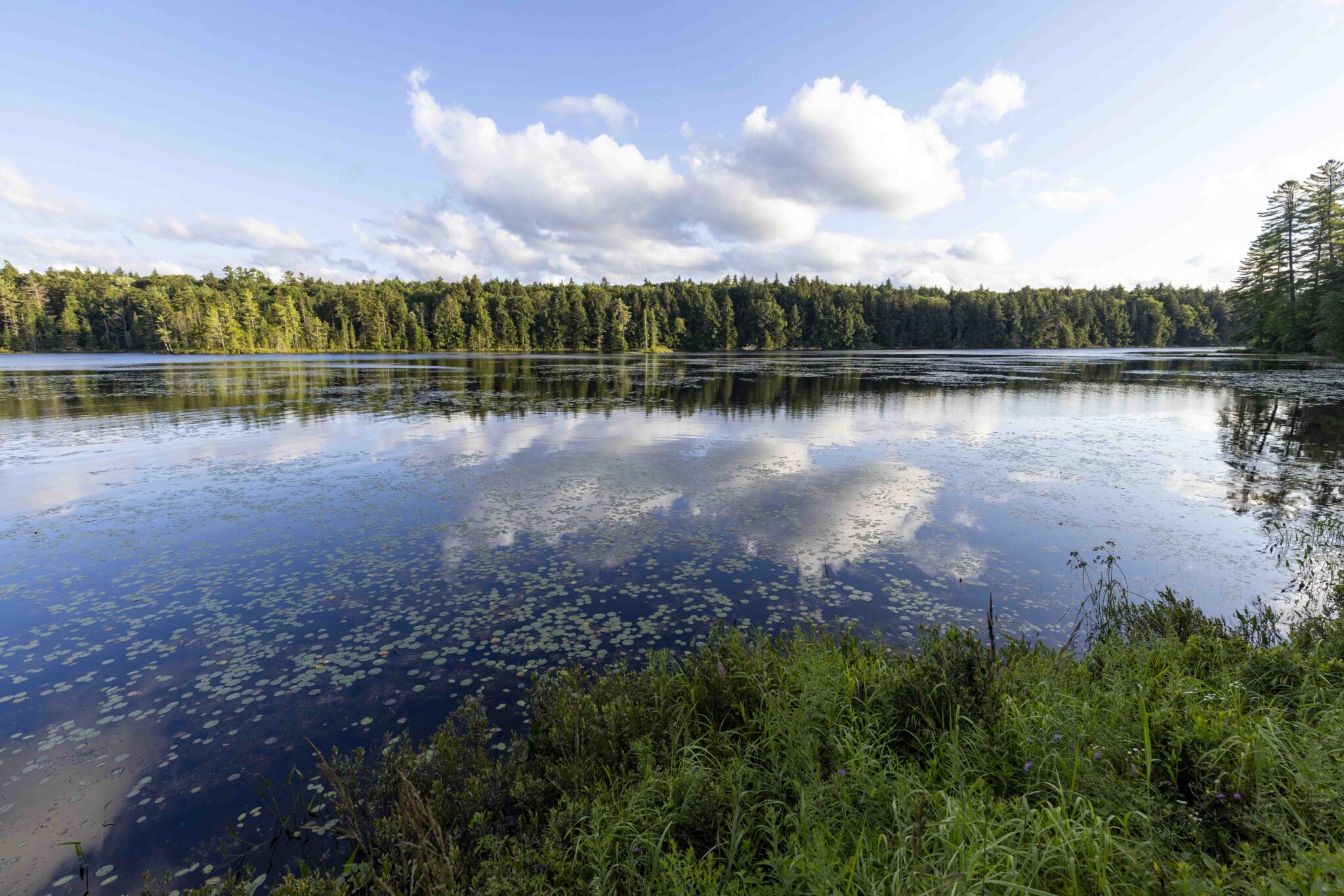 Middle Pond along Floodwood Road in the Saranac Lake Wild Forest. Photo by Mike Lynch