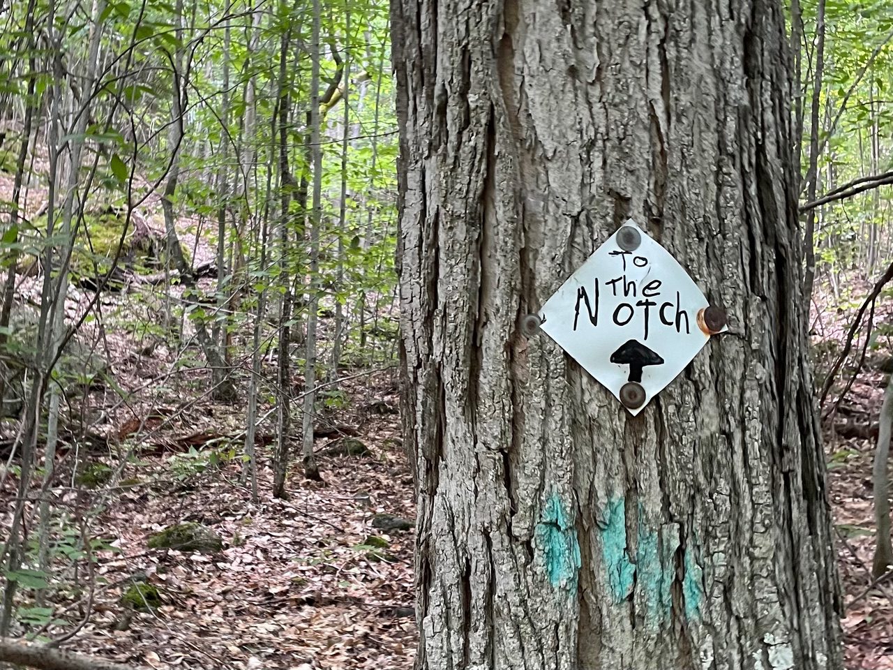 trail marker on the four peaks property