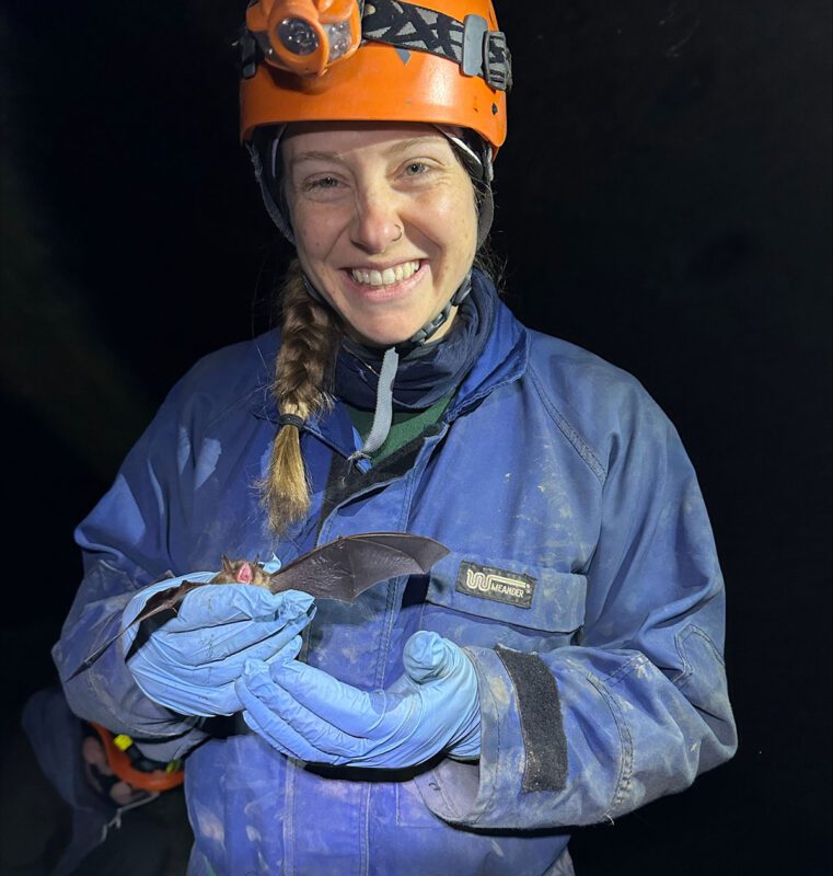 Ashley Meyer holding a little brown bat.