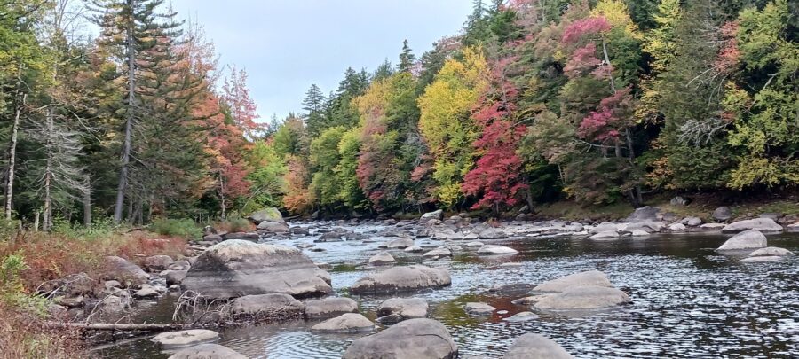 Racquette River Canoe Carry 
Wednesday, September 25, 2024