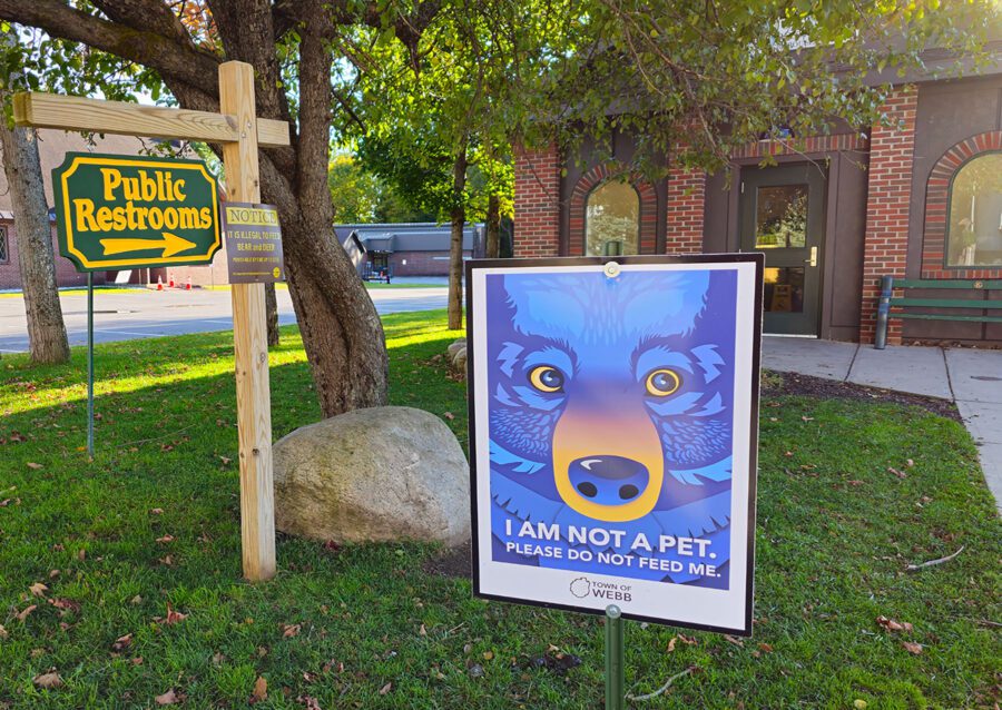 a sign urging people not to feed bears in the town of webb
