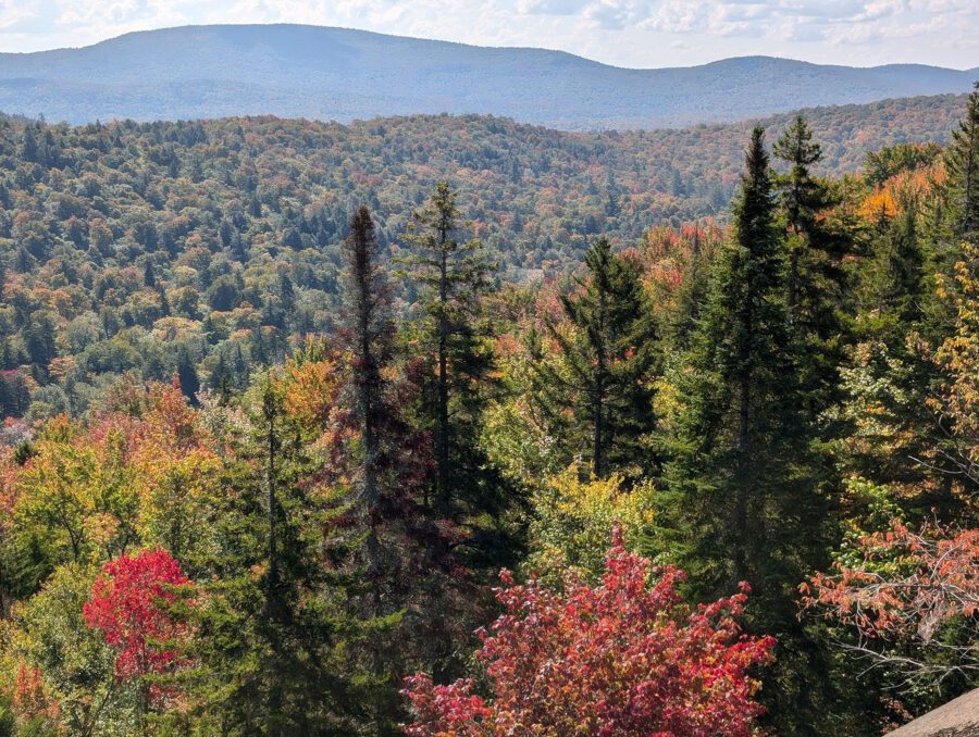 Fall colors in Inlet
